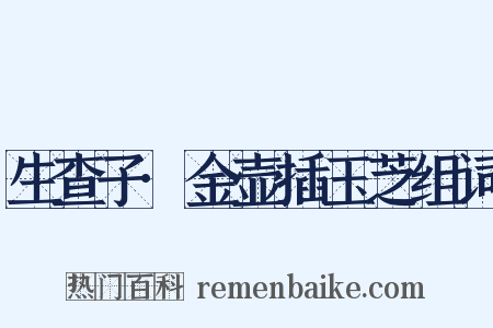 生查子·金壶插玉芝组词是什么意思的图片